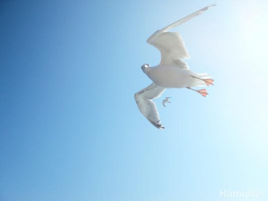 1-0.97623300 1743357051.jpg